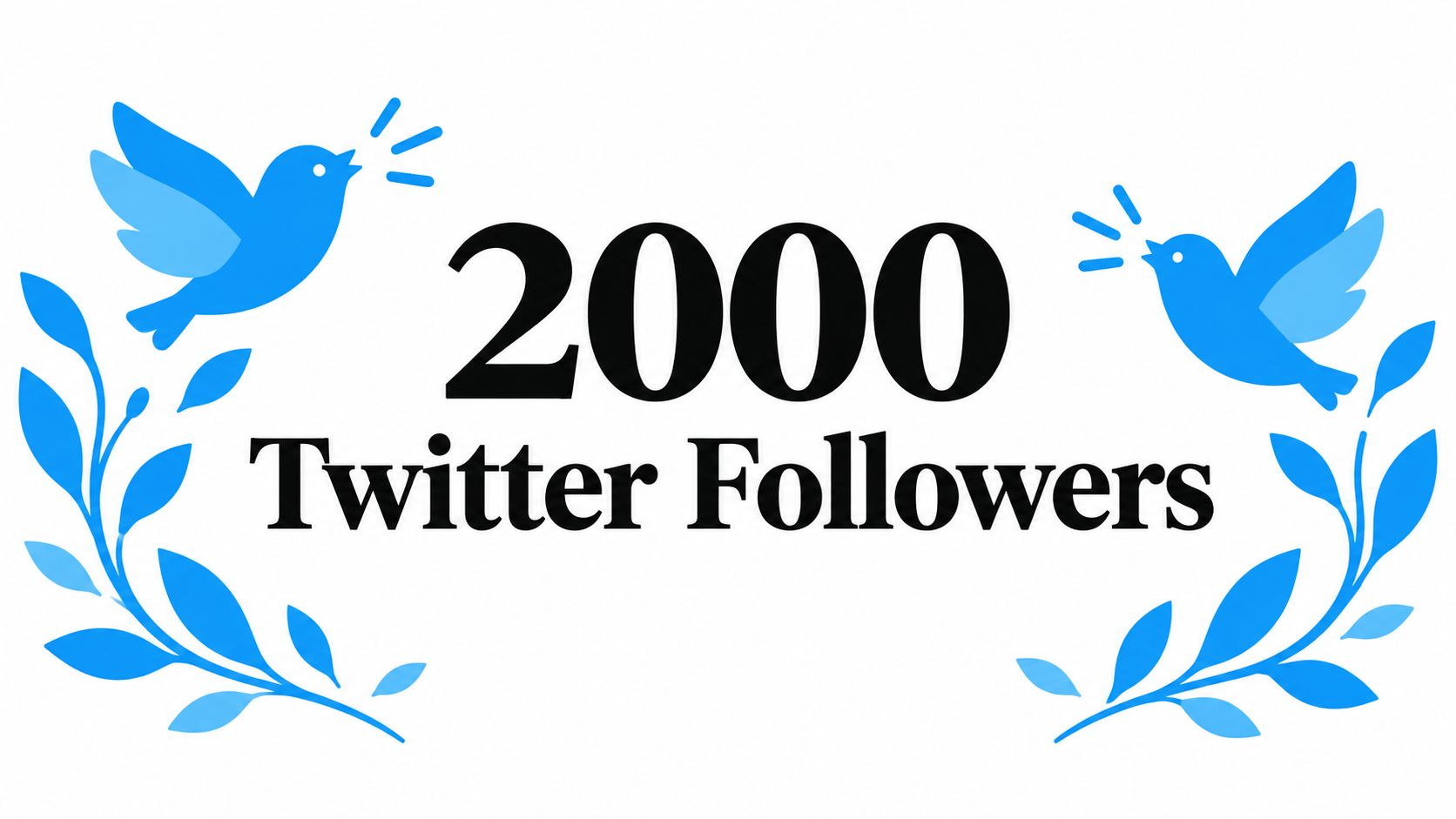 2000 Twitter Followers