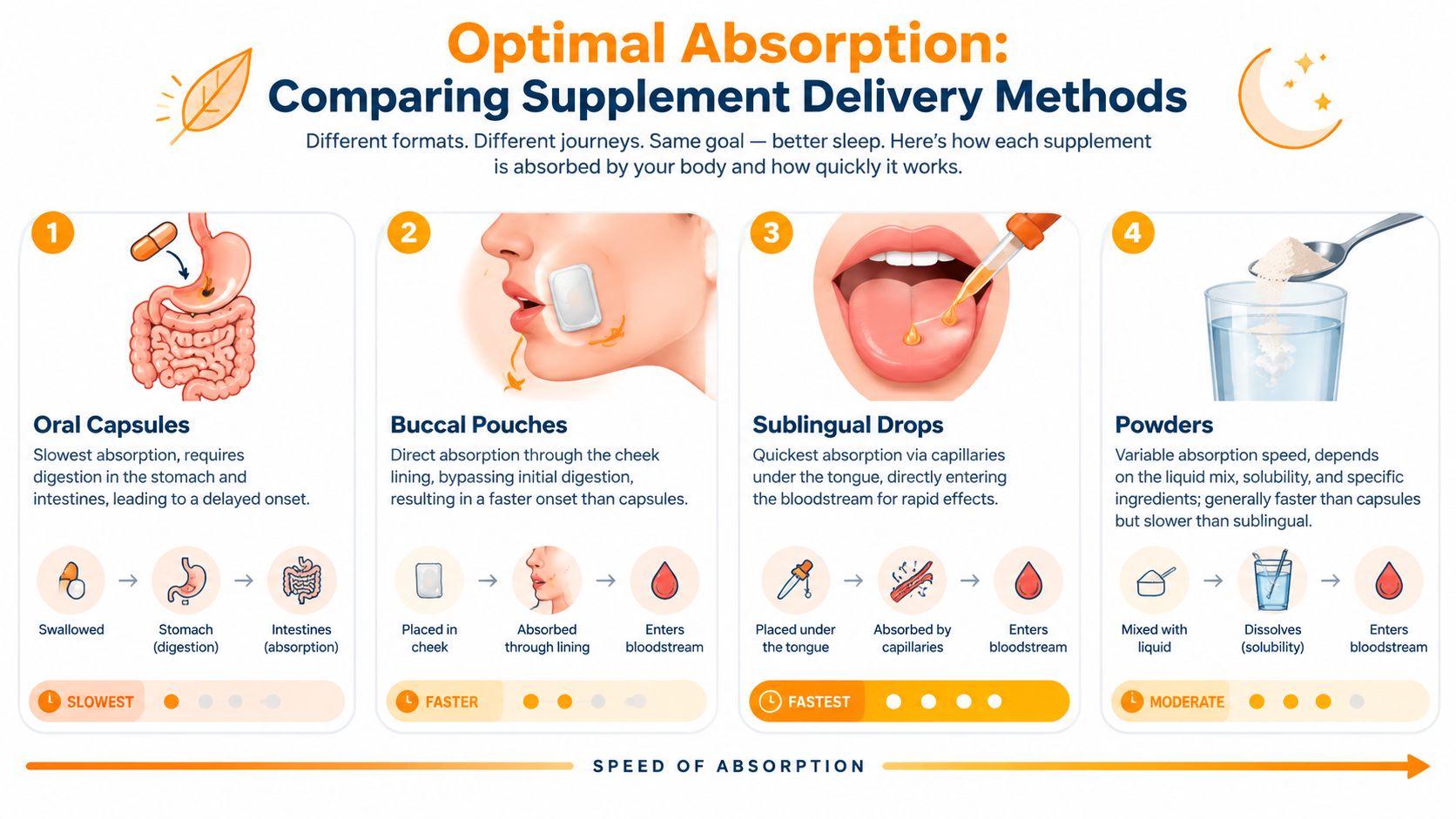 An infographic comparing absorption speeds of sleep supplements including oral capsules, buccal pouches, sublingual drops, and powders.