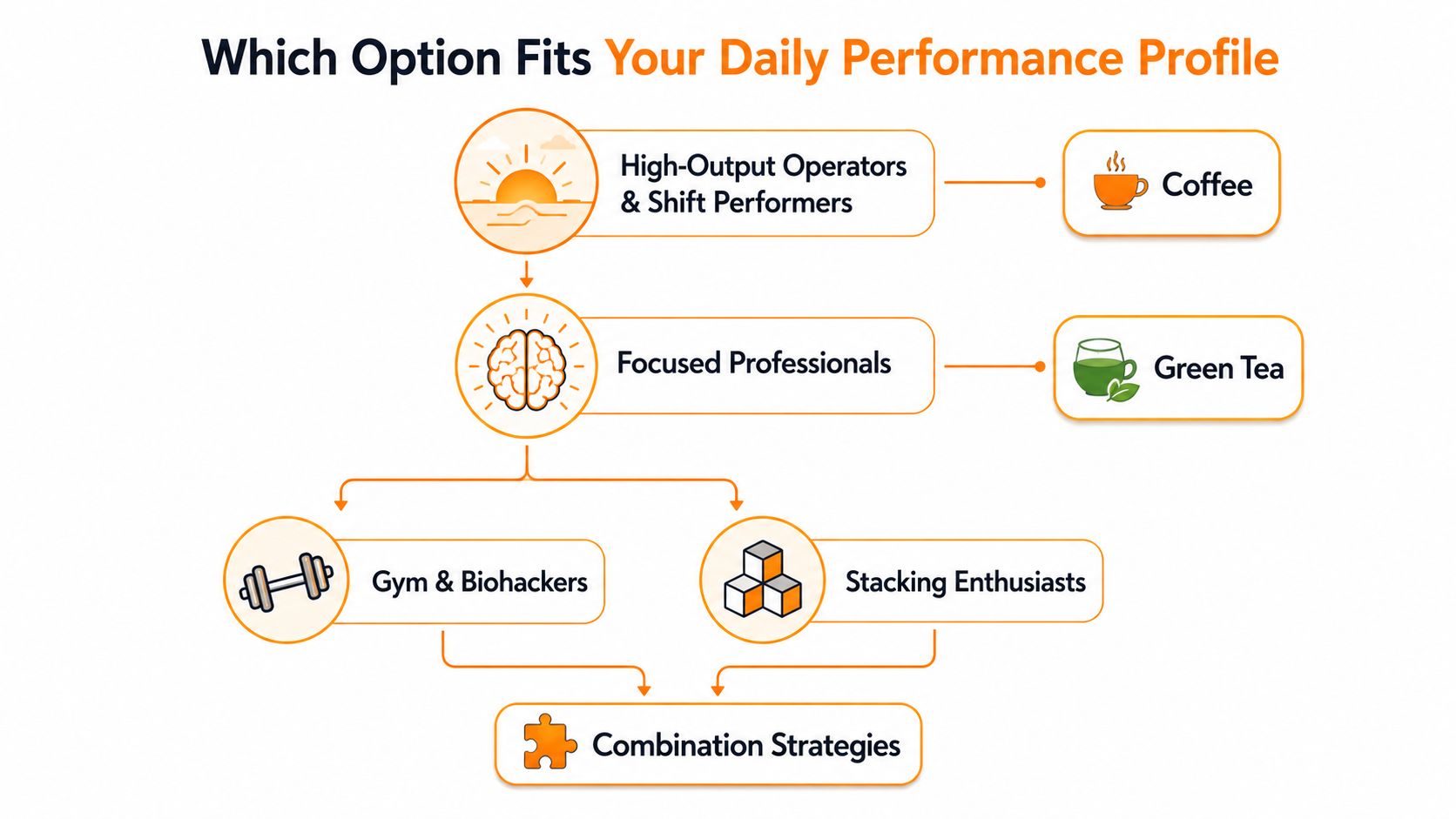 A flowchart showing different daily performance profiles, categorized by personality type and preferred beverage or supplement routine.