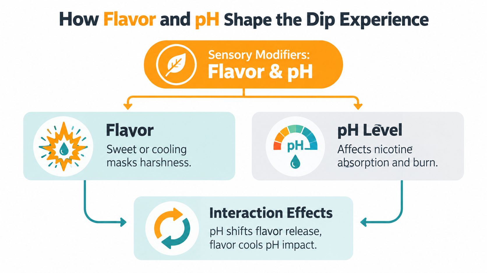 A diagram illustrating how flavor and pH levels impact the user experience of dip tobacco products.