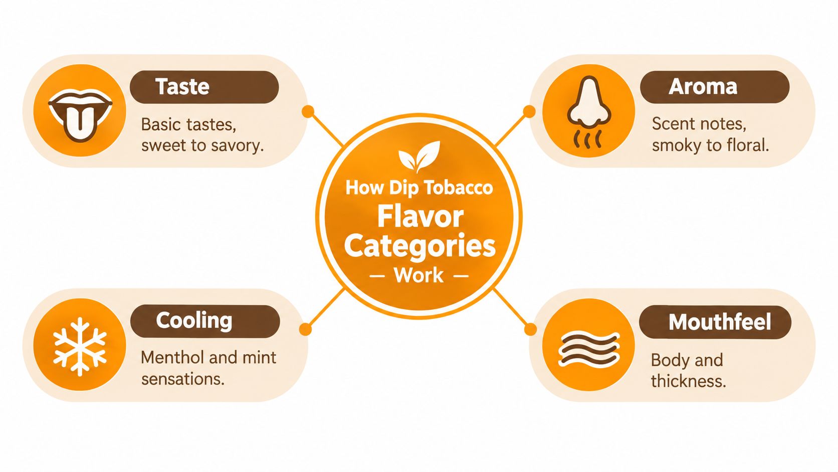 A diagram illustrating the four main flavor categories of dip tobacco: taste, aroma, cooling, and mouthfeel.