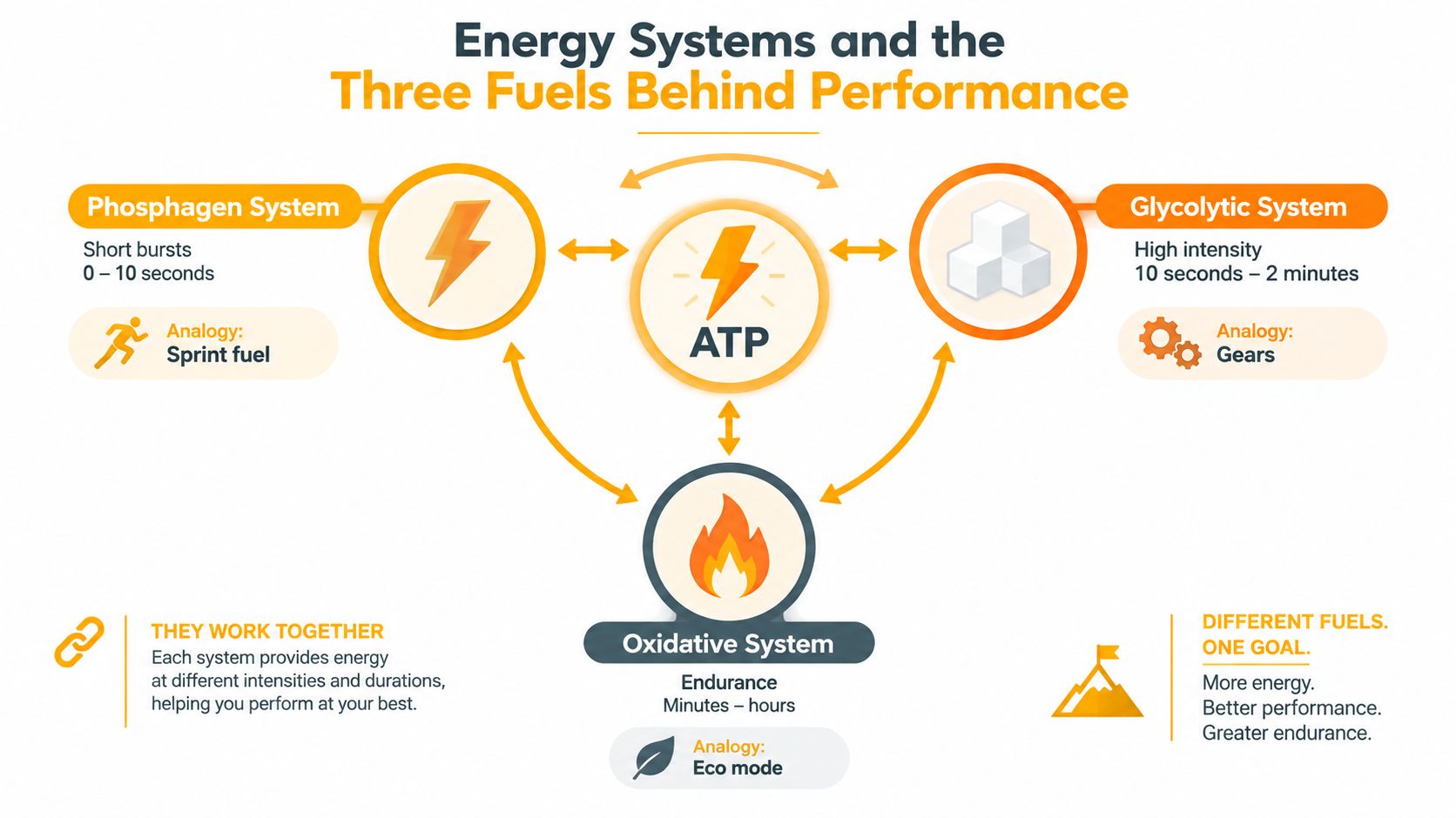 A diagram explaining three human energy systems: phosphagen, glycolytic, and oxidative, and their role in physical performance.