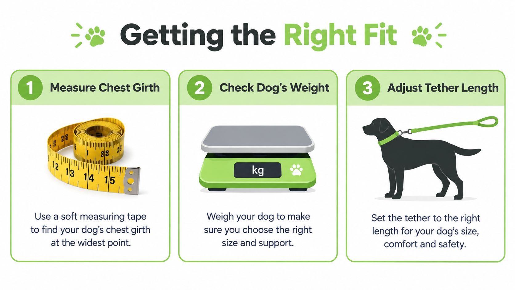 A three-step instructional guide showing how to measure, weigh, and adjust a tether for a dog.