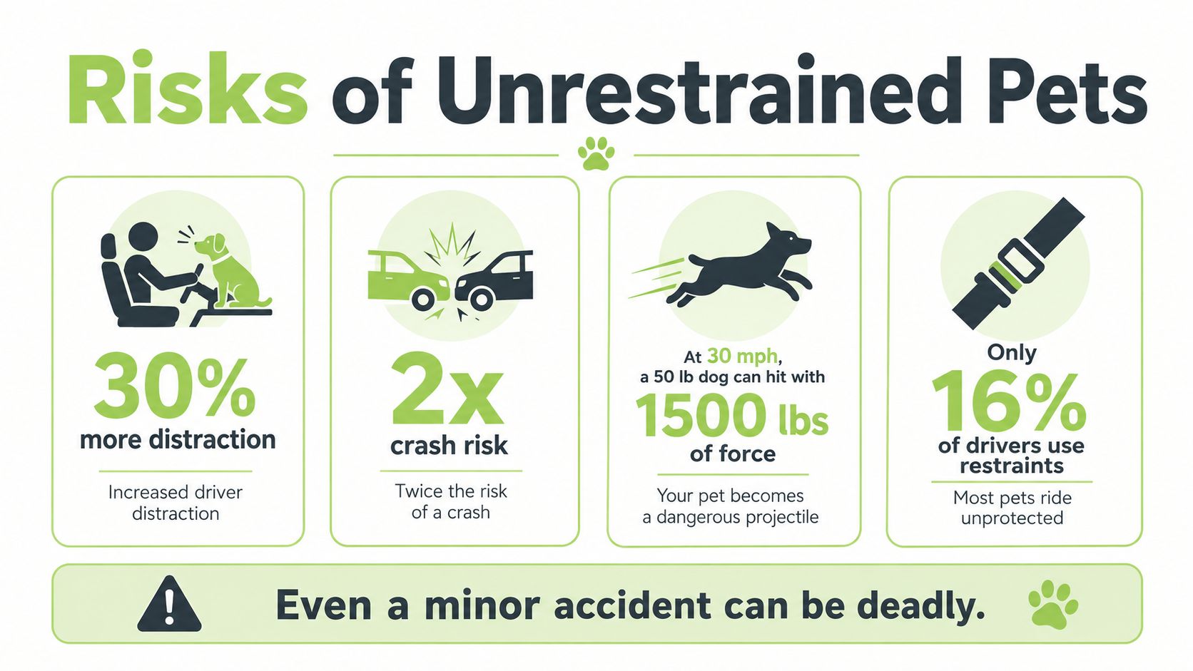 An infographic showing the dangers of driving with an unrestrained pet inside a vehicle.