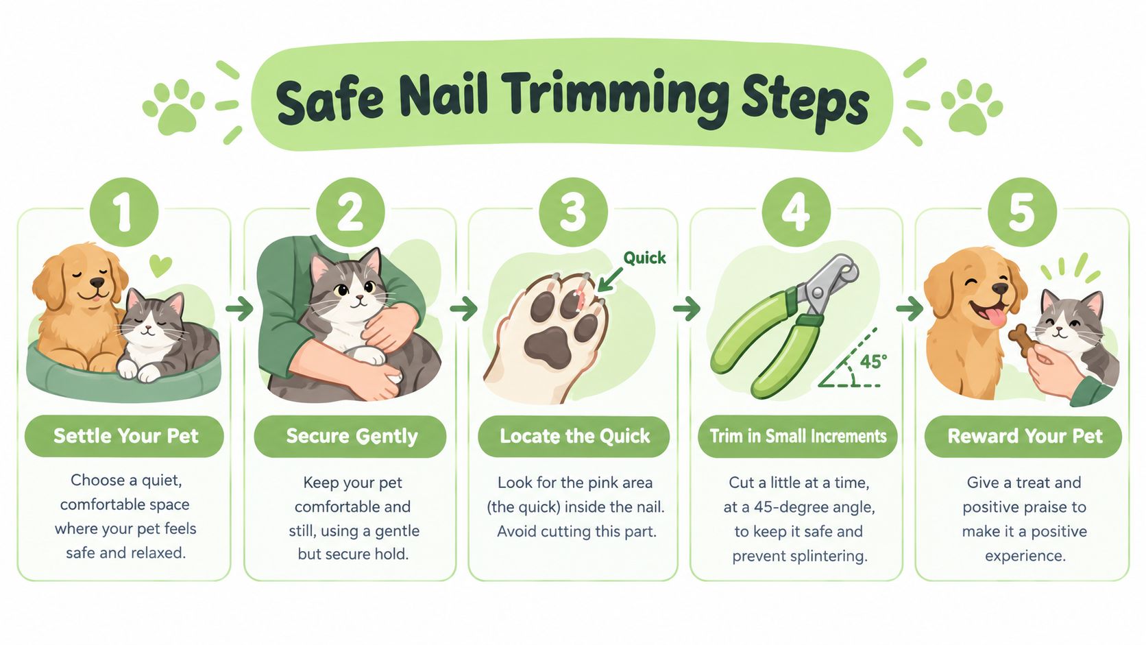 A five-step infographic showing how to safely trim a dog or cat's nails at home.