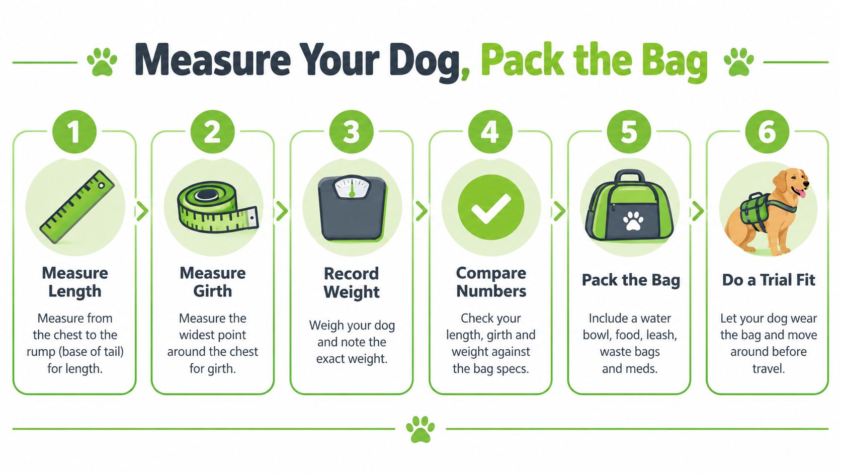 A six-step instructional infographic guide on how to properly measure and fit a dog travel bag.