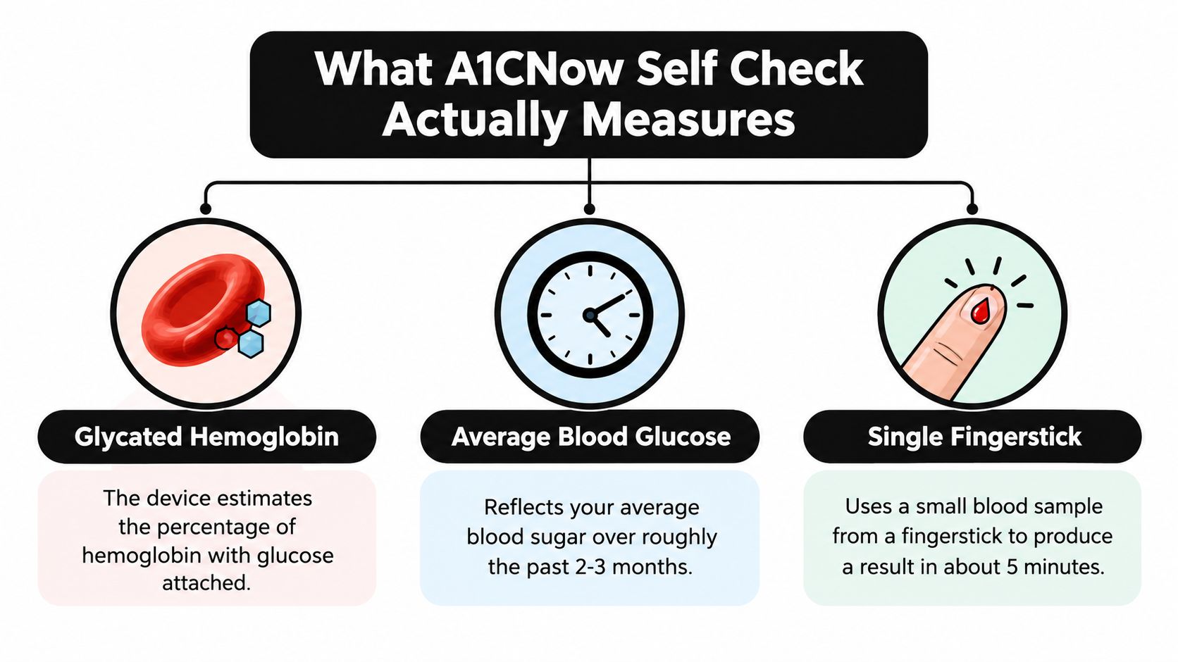 An infographic showing that the A1CNow test measures glycated hemoglobin, average blood glucose, and uses a fingerstick.