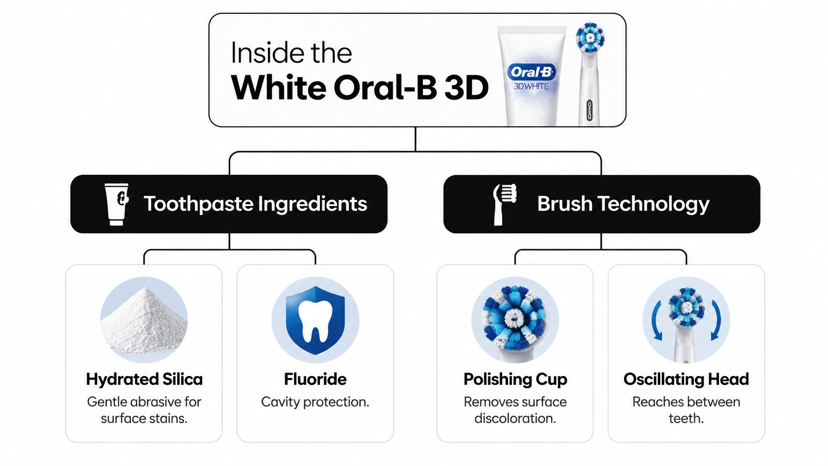 A diagram illustrating the components of the Oral-B 3D White system, including toothpaste ingredients and brush technology.
