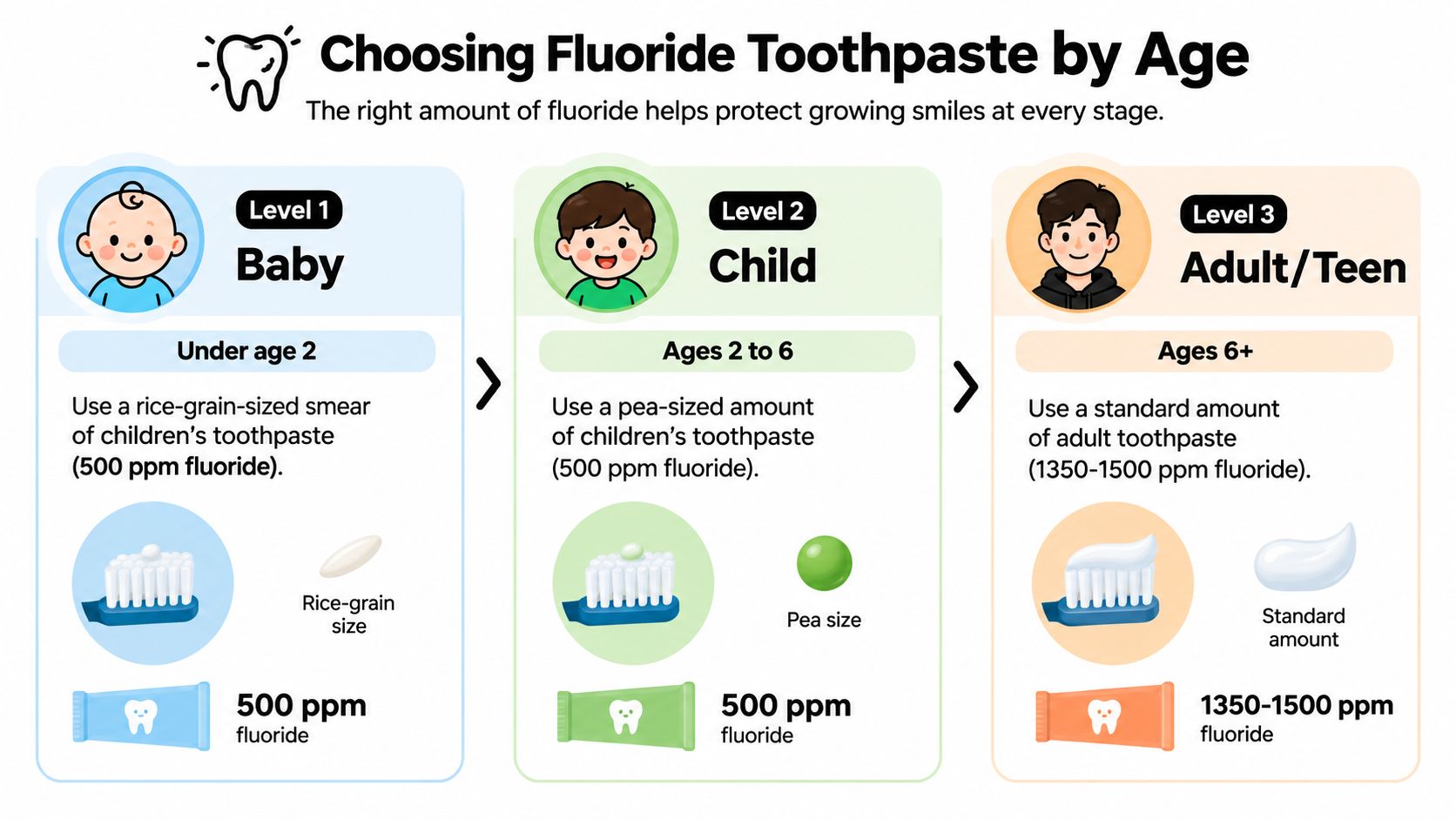 A visual guide showing recommended toothpaste fluoride concentrations and amounts based on age groups for optimal dental health.
