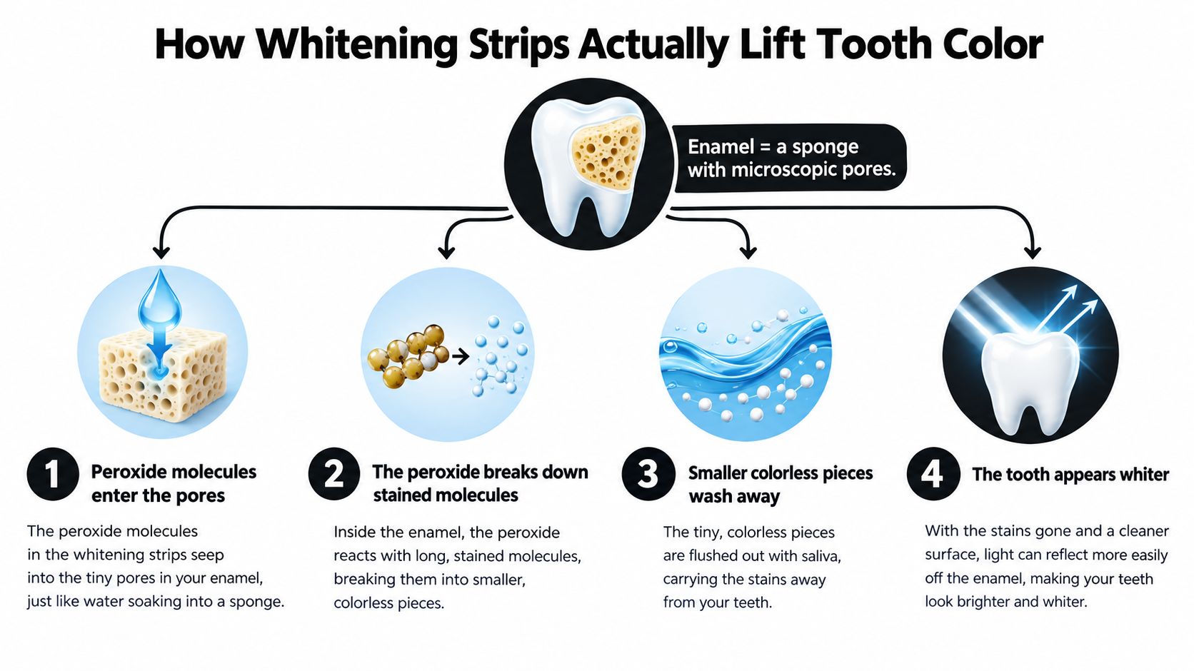 An infographic showing the four-step biological process of how whitening strips lift stains from tooth enamel.