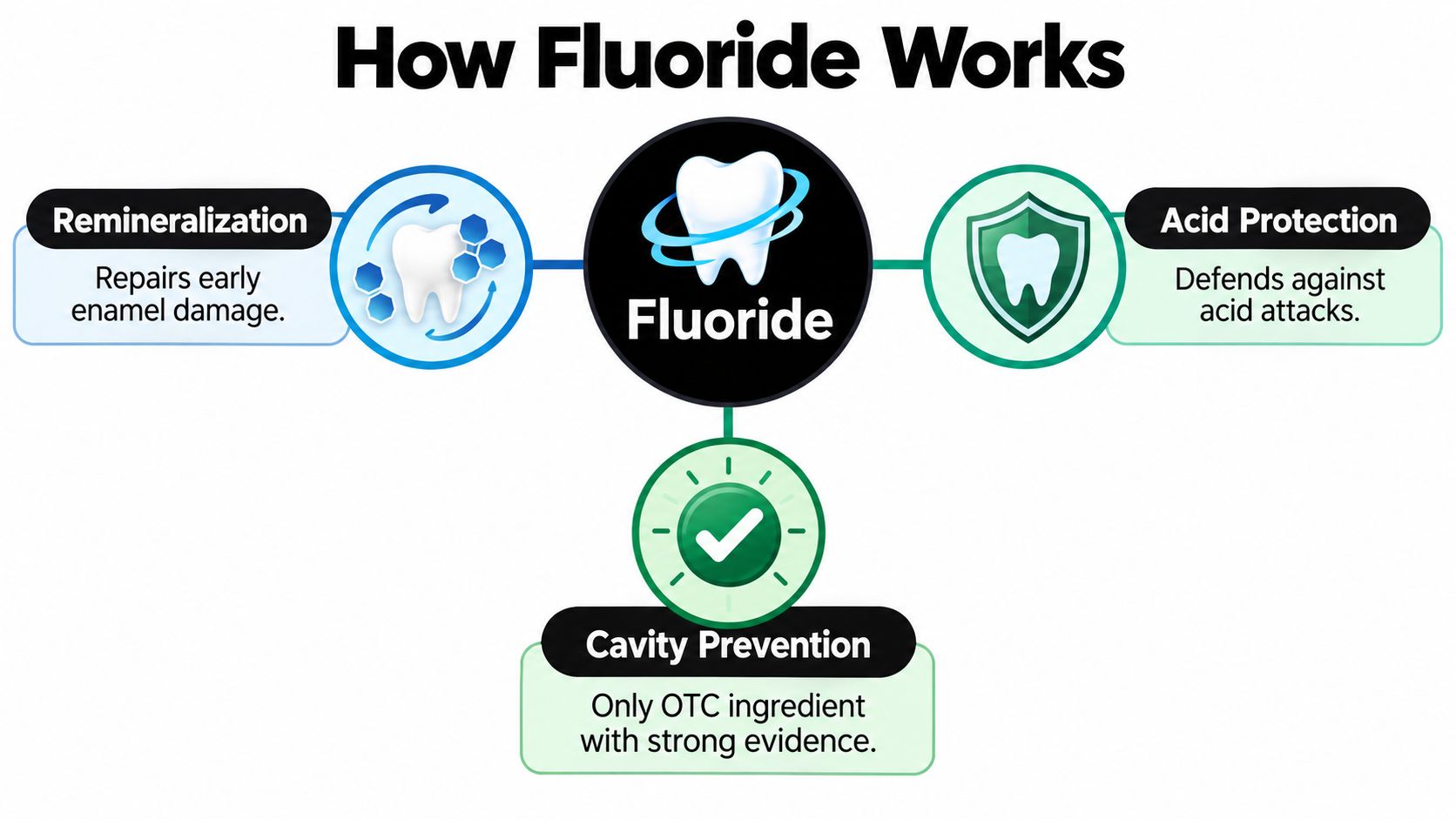 An infographic titled How Fluoride Works illustrating remineralization, acid protection, and cavity prevention for dental health.