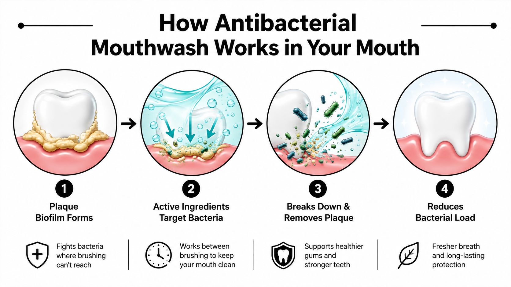 A diagram illustrating the four steps of how antibacterial mouthwash cleans teeth and removes plaque.
