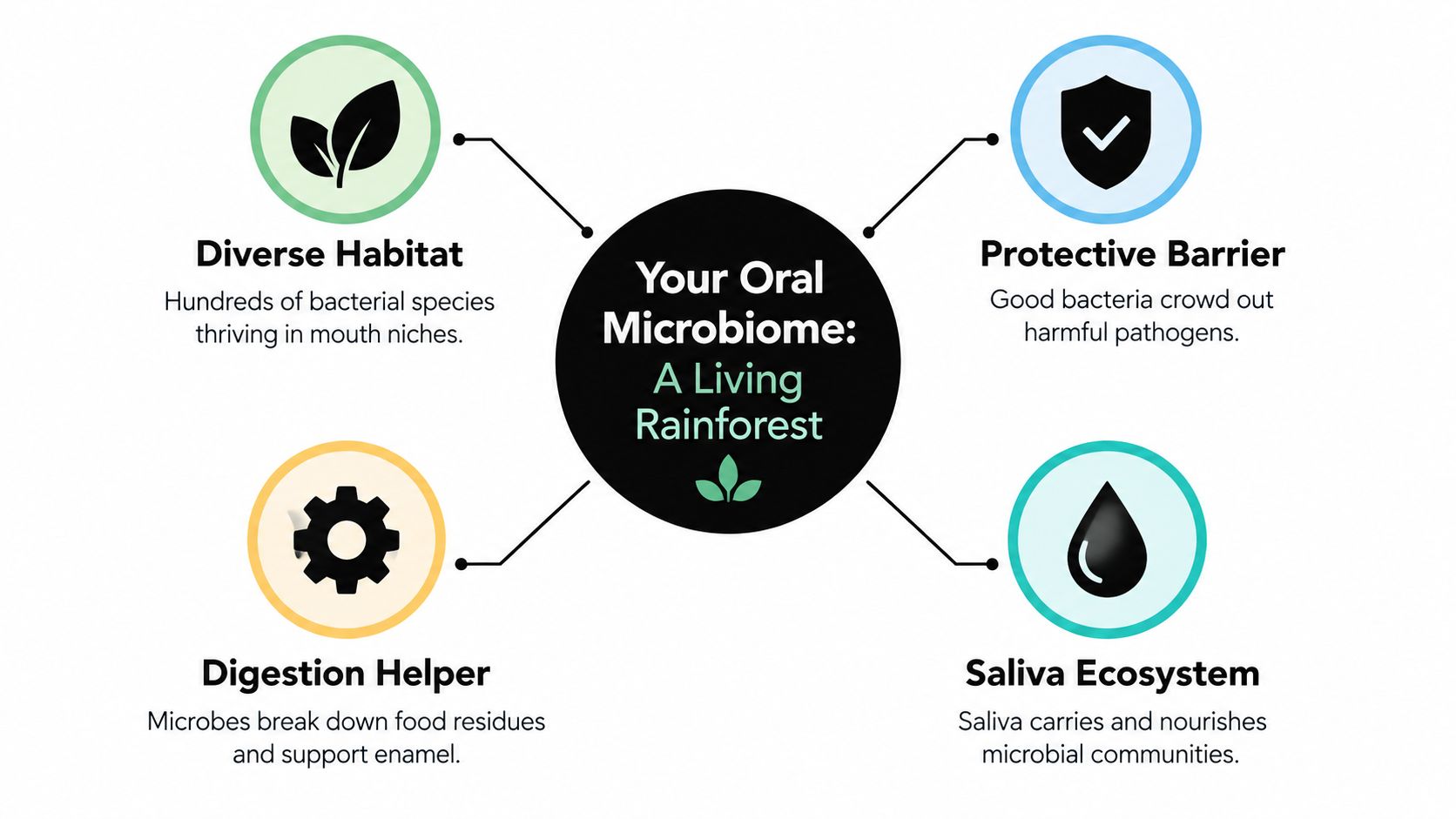 An infographic titled Your Oral Microbiome, describing four benefits of bacteria in the mouth.