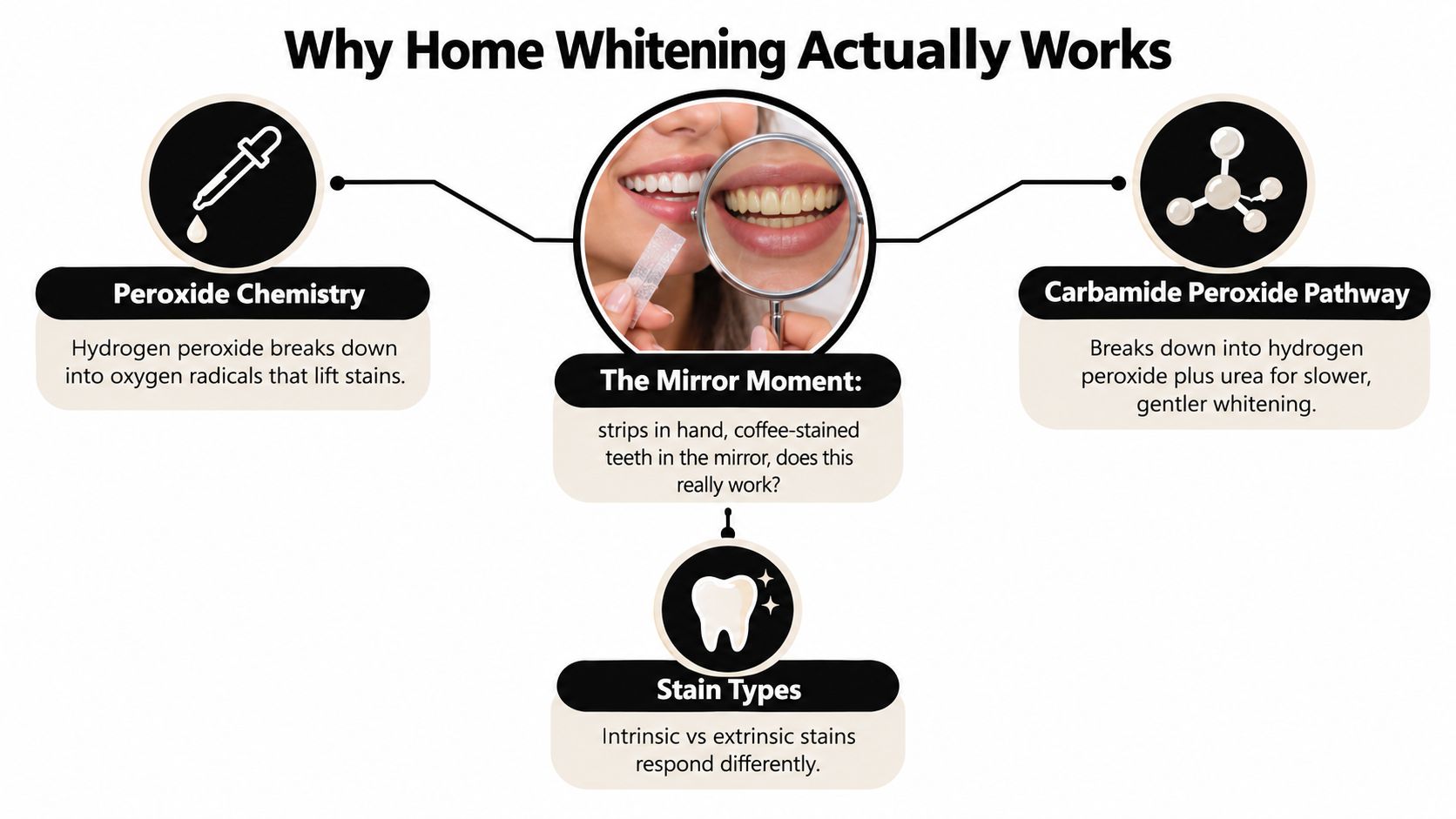 An infographic explaining how home teeth whitening products work using peroxide chemistry and targeting different stain types.