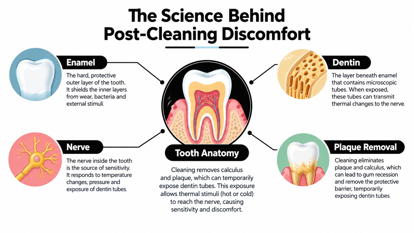 An infographic explaining how removing plaque and calculus can cause temporary tooth sensitivity and discomfort after cleaning.