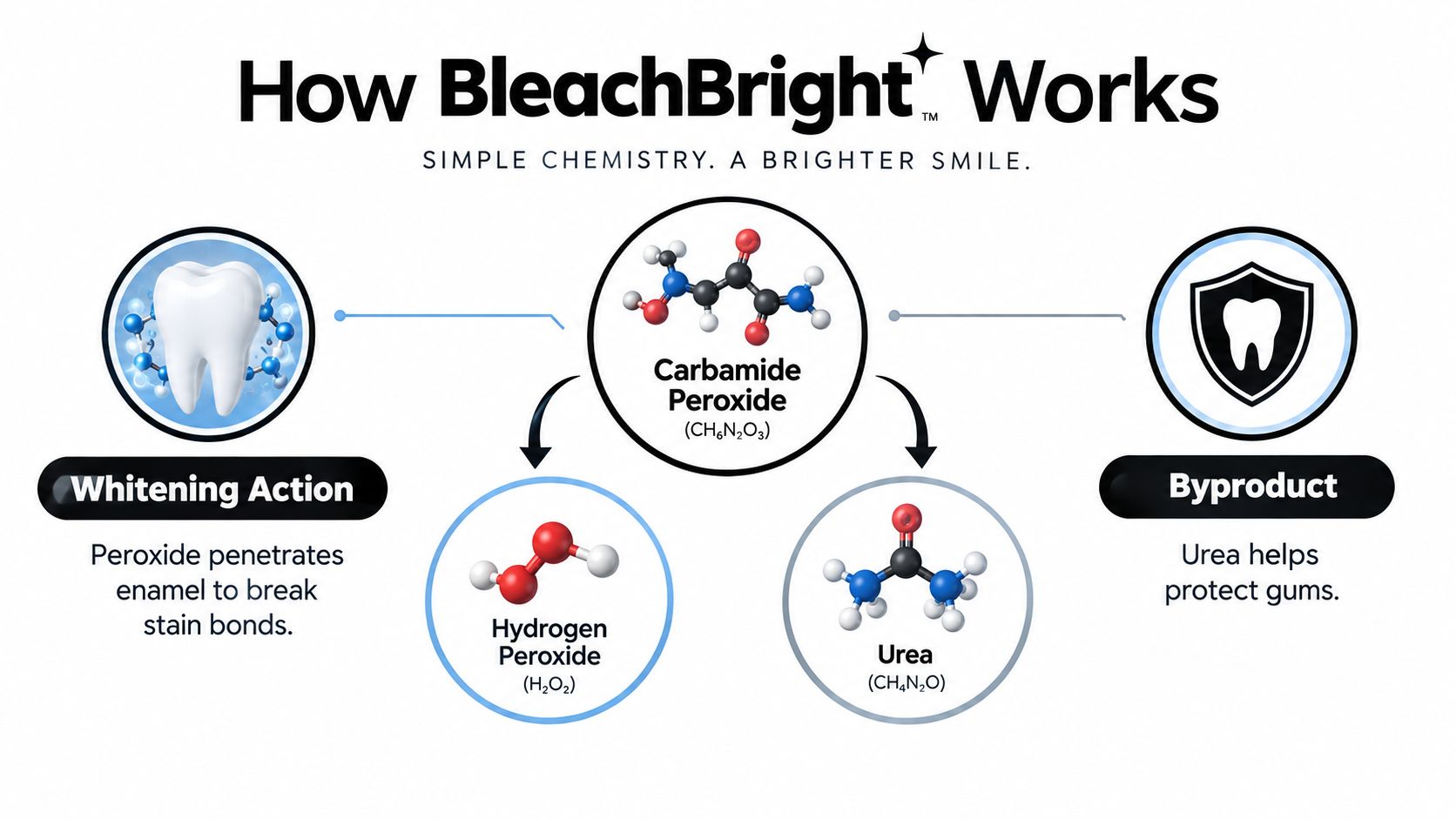 An infographic showing how BleachBright teeth whitening works using carbamide peroxide to break down stains and protect gums.