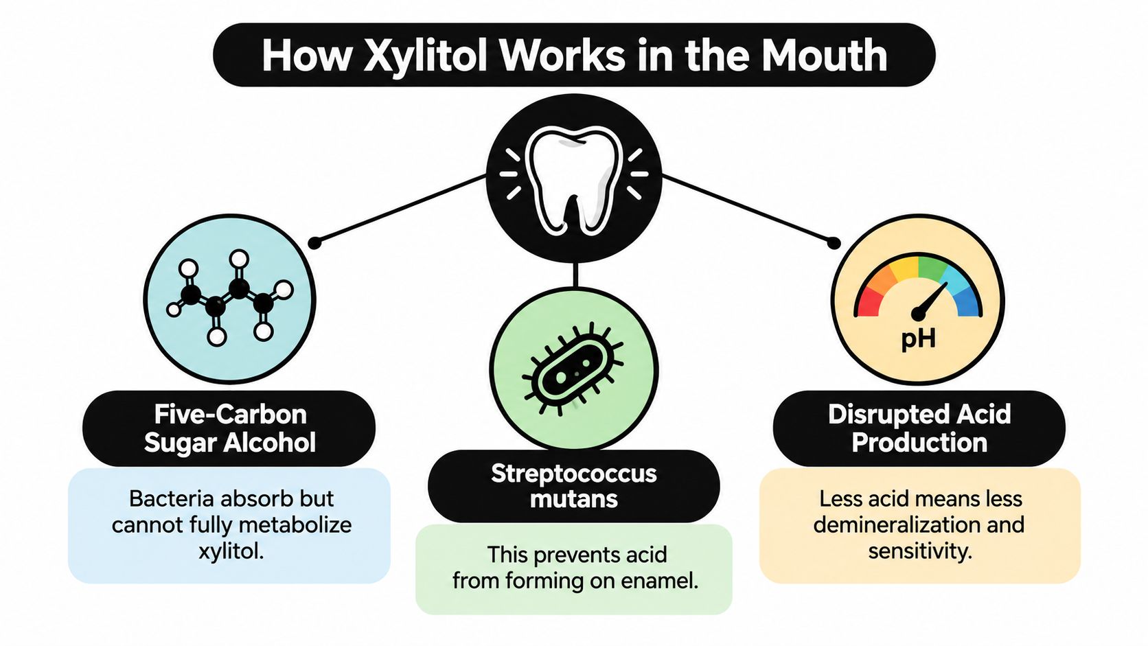 An educational infographic illustrating the three main ways xylitol benefits oral health and prevents tooth sensitivity.