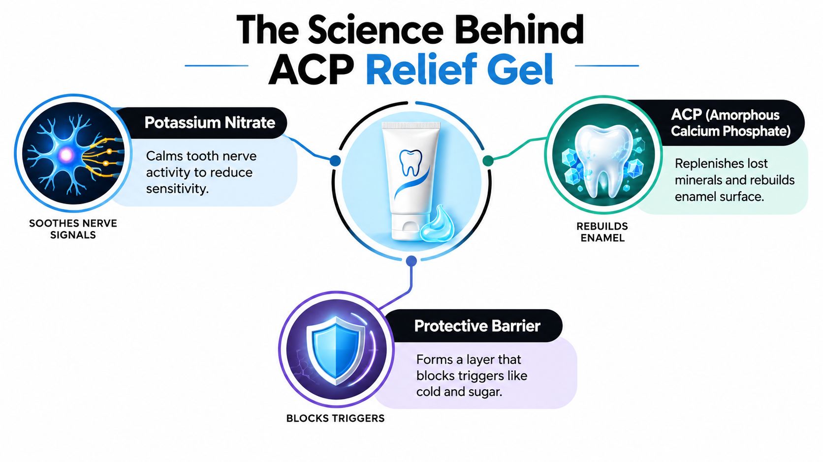 An infographic showing the scientific mechanisms of ACP Relief Gel including nerve soothing, enamel rebuilding, and barrier formation.