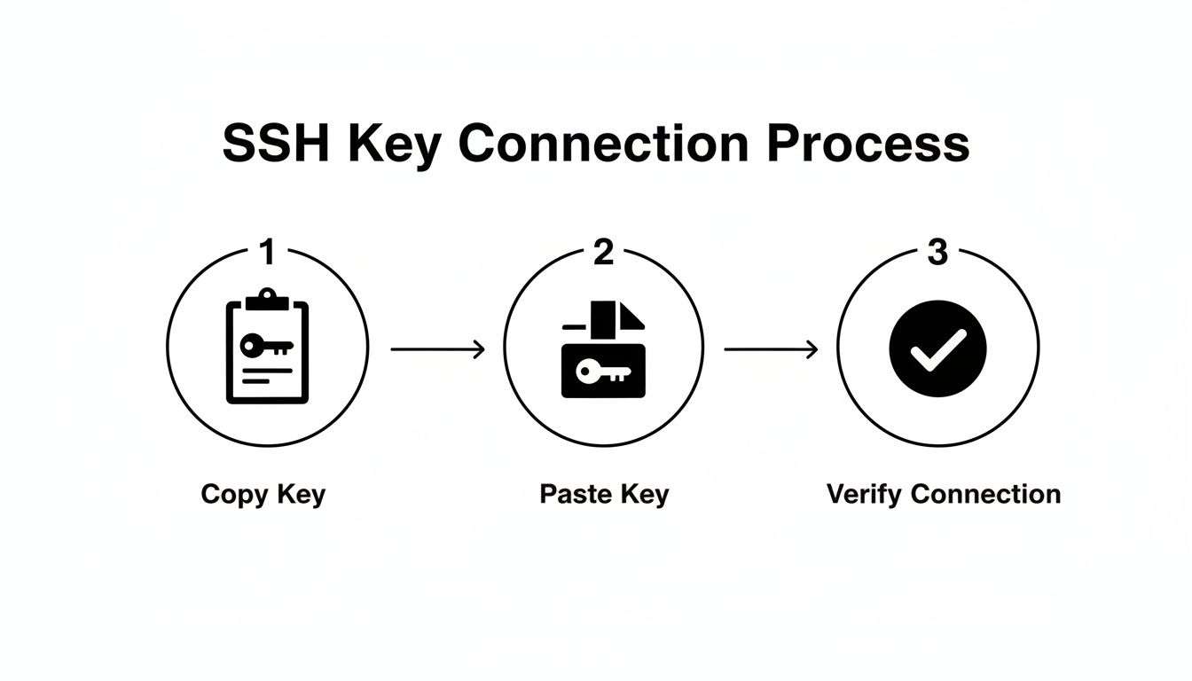 A Developer's Guide to Git Clone With SSH Key | Zest