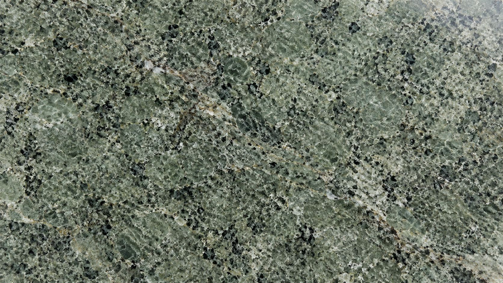 Close up view of natural desert green granite stone slab with intricate black and white mineral textures.