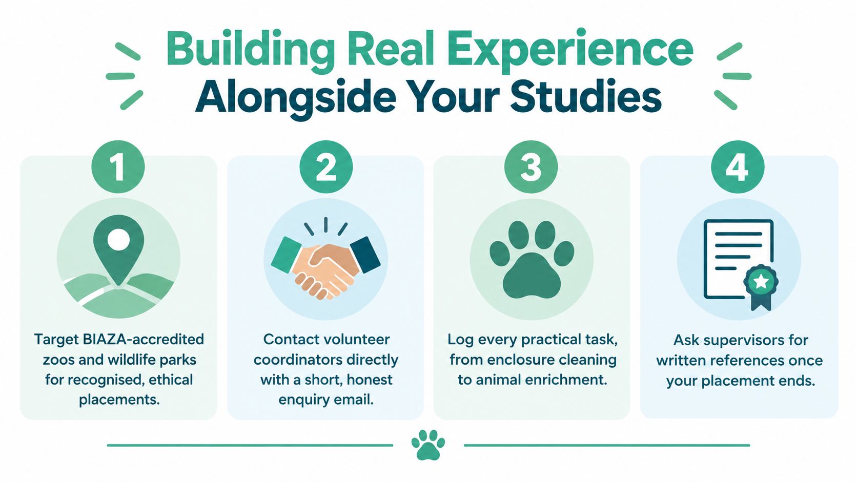 A four-step infographic illustrating how students can gain practical animal care experience at BIAZA-accredited zoos.
