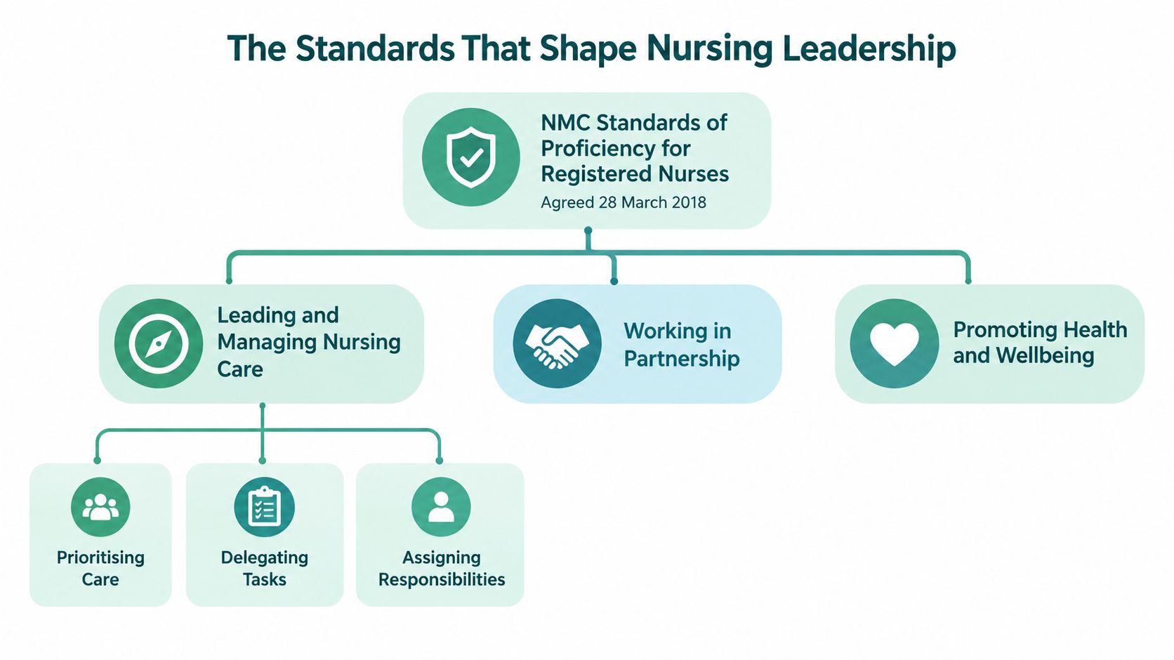 A flow chart outlining the NMC standards for registered nurses, focusing on nursing leadership and management.