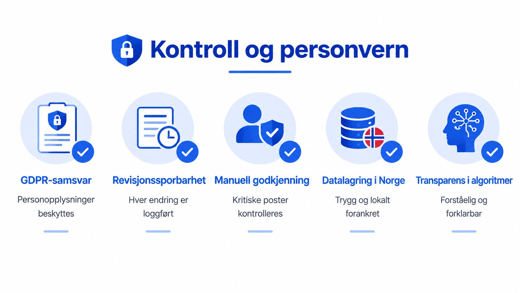 En infografikk som viser fem nøkkelprinsipper for kontroll og personvern i digitale regnskapssystemer med ikoner og tekst.