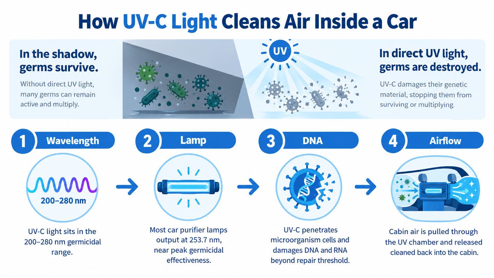 A diagram explaining how UV-C light car air purifiers destroy germs and sanitize vehicle air