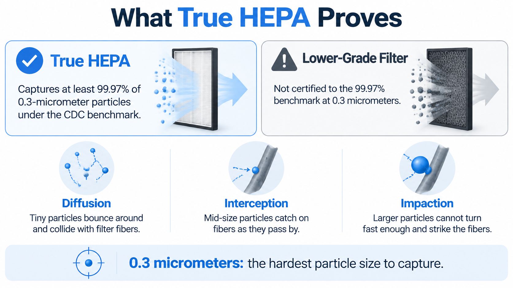 An infographic comparing True HEPA filters to lower-grade filters and explaining how air filtration mechanisms work.