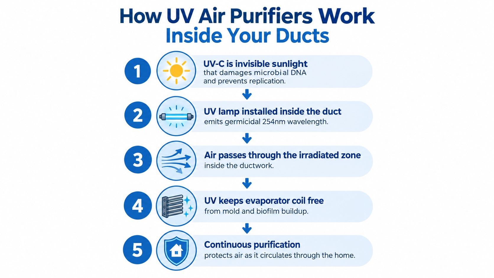 A five-step infographic showing how UV air purifiers work inside HVAC ductwork to clean home air.
