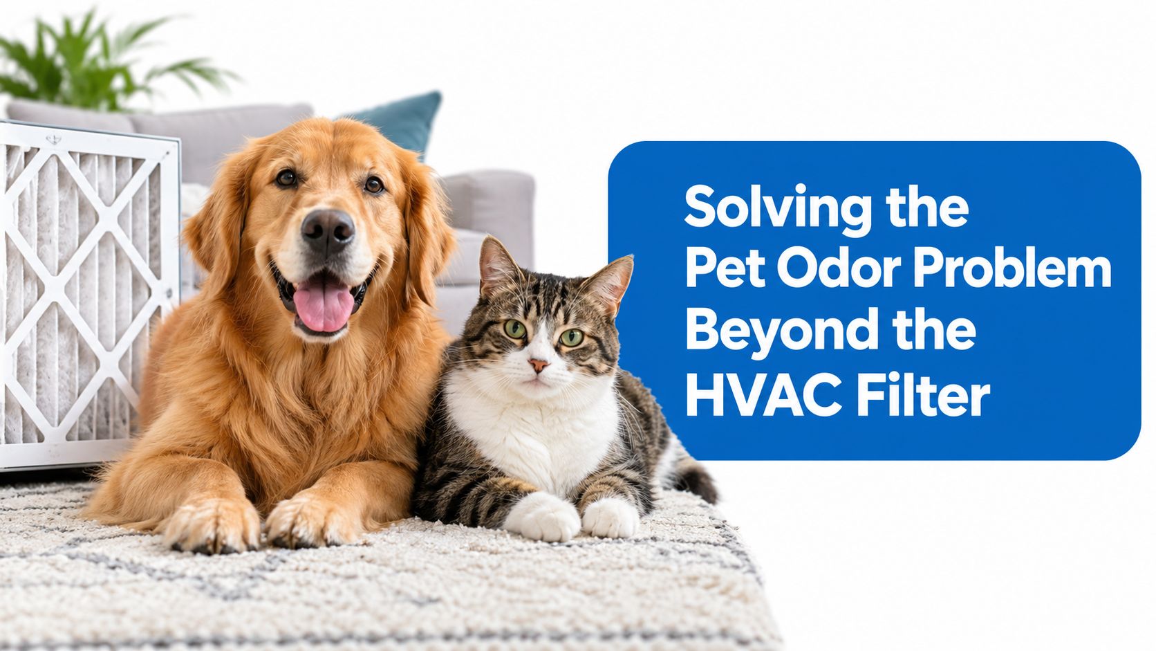 A golden retriever and a tabby cat sitting together on a carpet with an air filter.