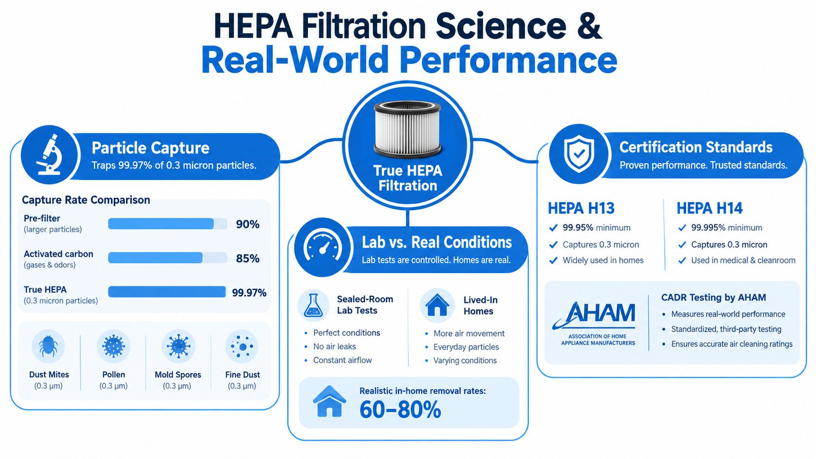An infographic detailing HEPA filtration science, real-world performance differences, capture rates, and international certification standards for air purifiers.