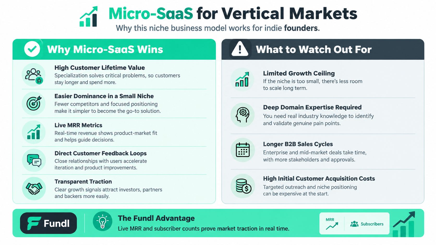 An infographic titled Micro-SaaS for Vertical Markets, showing benefits and challenges for indie founders in niche markets.