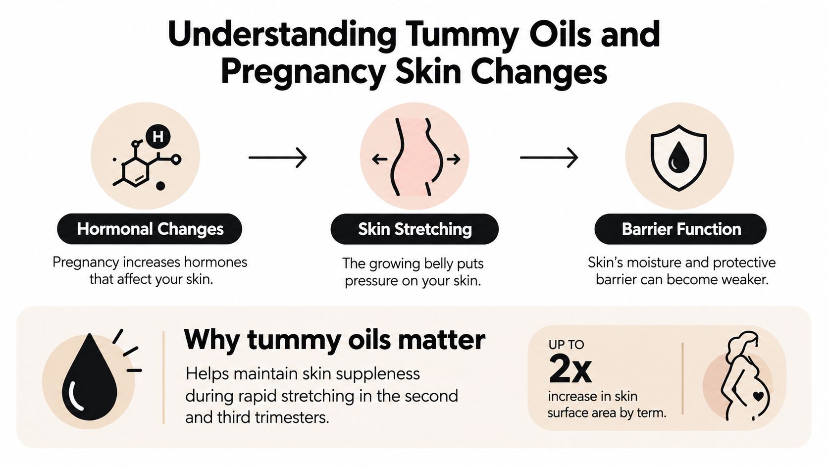 An infographic explaining how pregnancy hormones and belly stretching affect skin health and the importance of tummy oils.