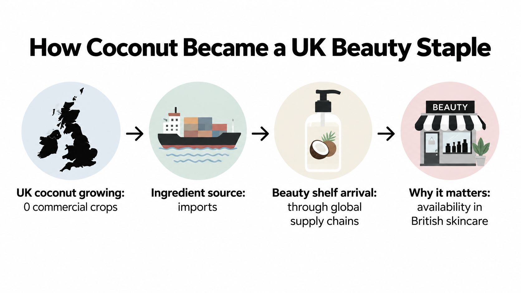 A four-step infographic illustrating how coconut products are imported into the UK for the beauty industry.