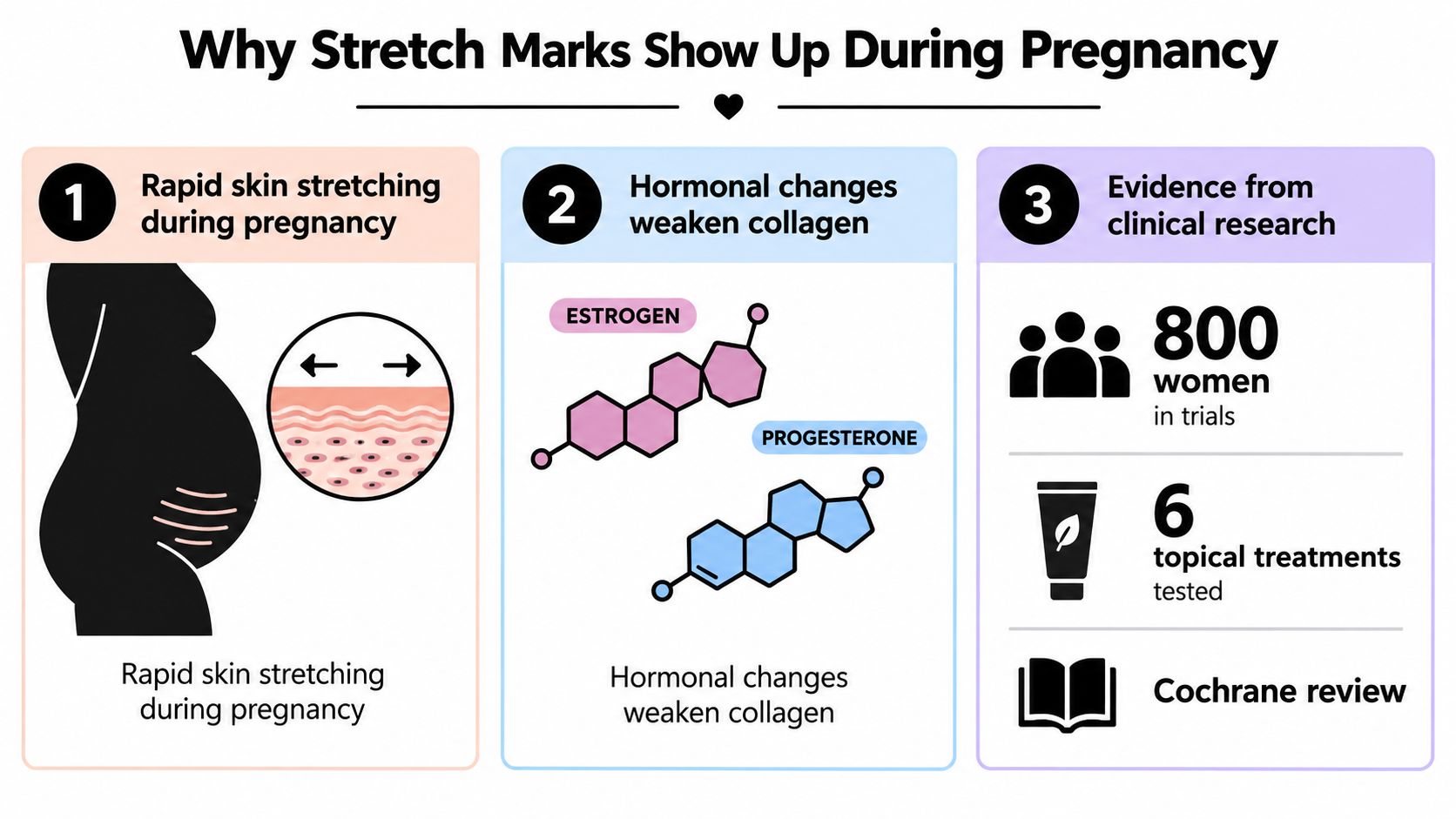 An infographic showing the three main reasons why stretch marks develop during pregnancy including skin stretching and hormonal changes.