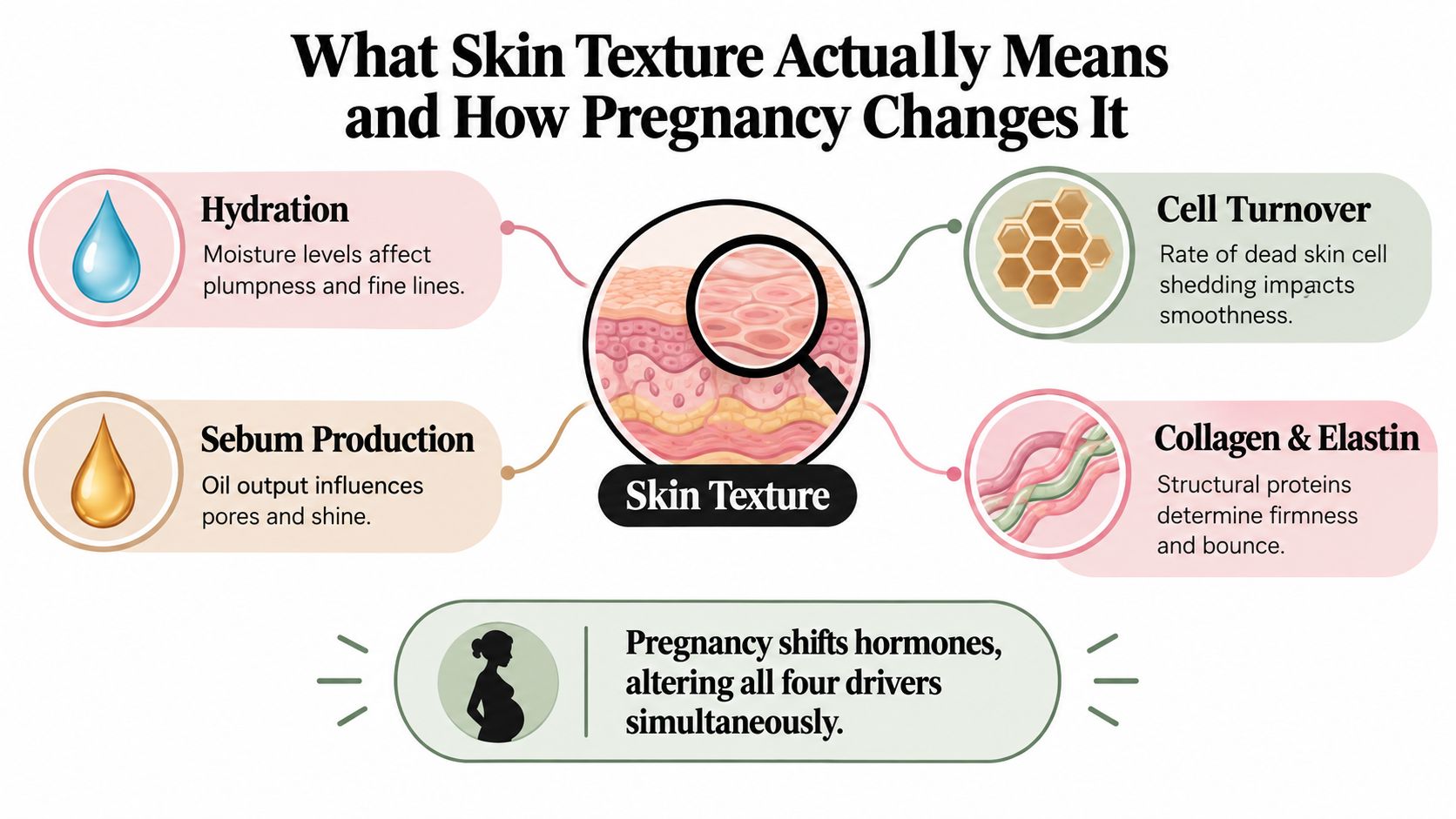 An infographic explaining the four main factors of skin texture and how pregnancy affects them.