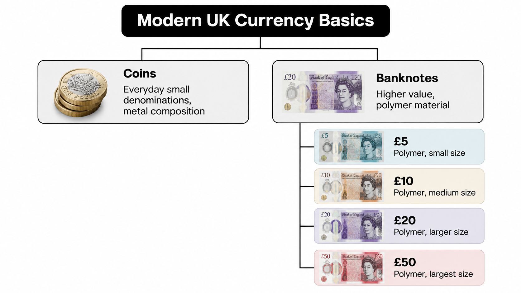 An infographic titled Modern UK Currency Basics, categorizing coins and various polymer banknotes by size and value.