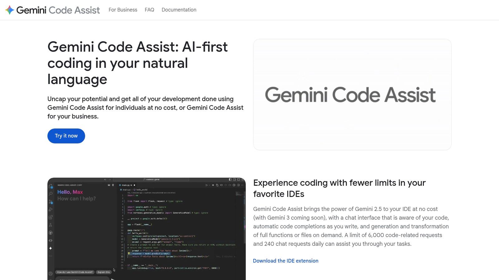 Google Gemini Code Assist
