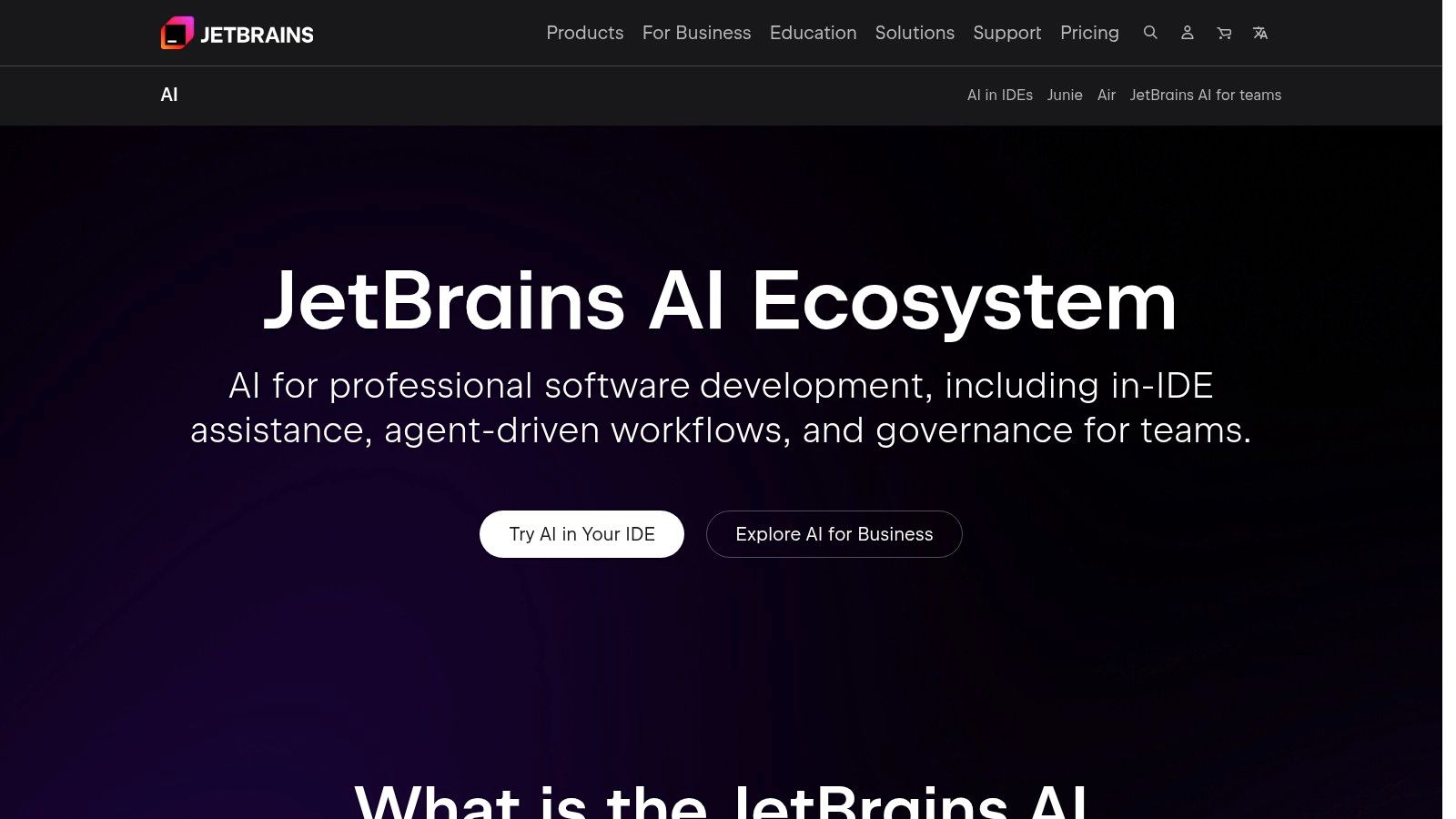 JetBrains AI Assistant