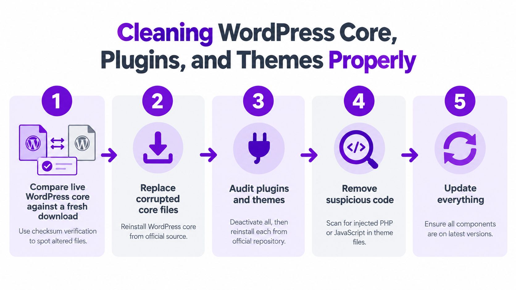 A five-step infographic showing how to clean WordPress core files, plugins, and themes after malware infection.