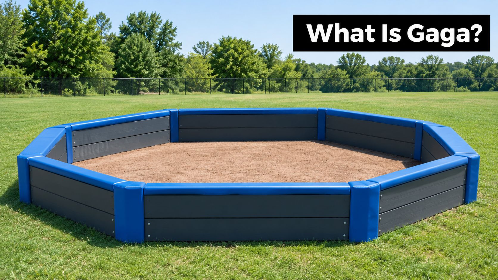 An octagonal gaga ball pit with blue padded edges set in a green outdoor grass field.