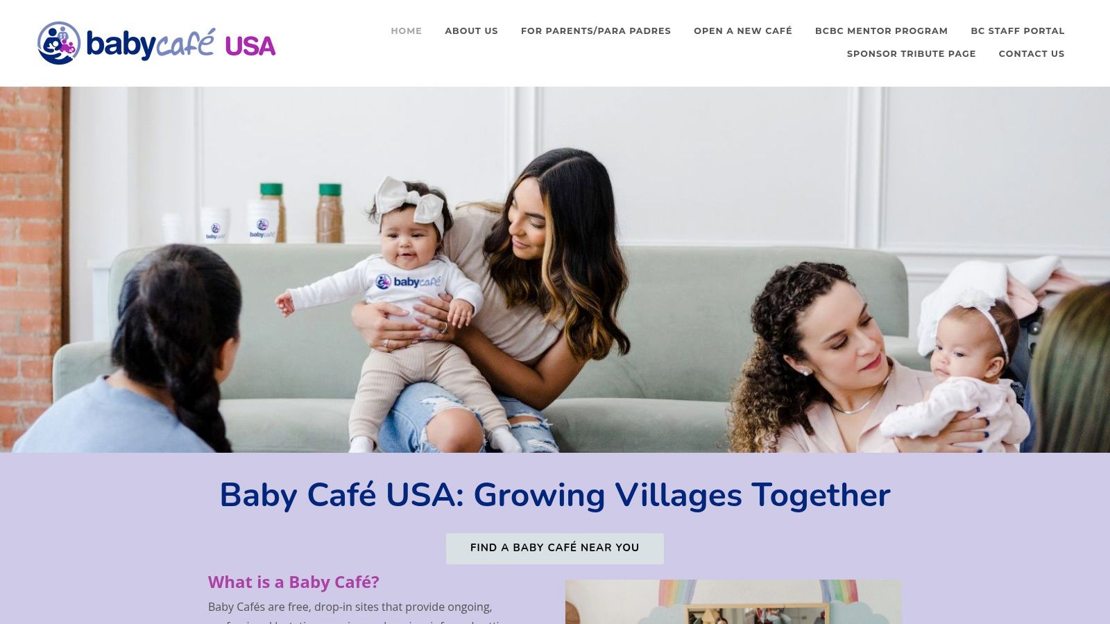 WIC Breastfeeding Support from USDA WIC