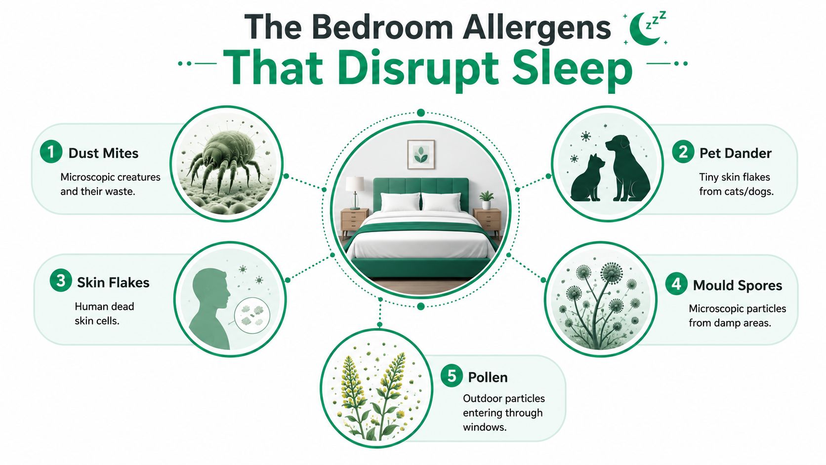 An infographic titled The Bedroom Allergens That Disrupt Sleep, showcasing five common bedroom allergens with illustrations.