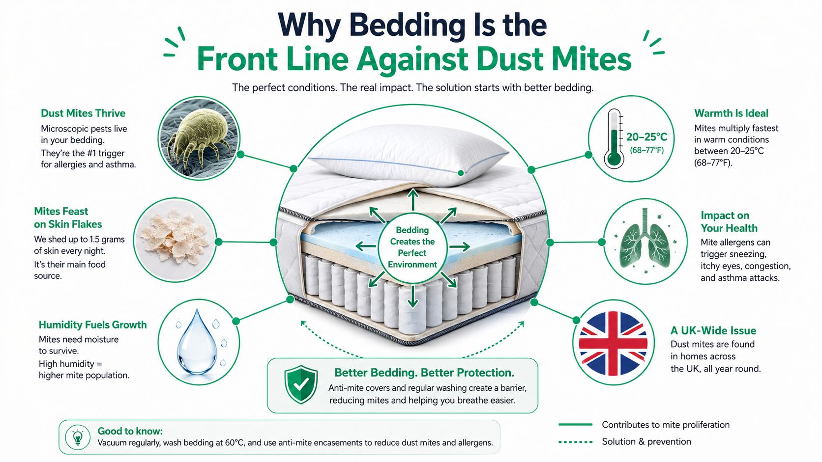 An infographic showing how dust mites thrive in bedding and how to prevent them with better covers.