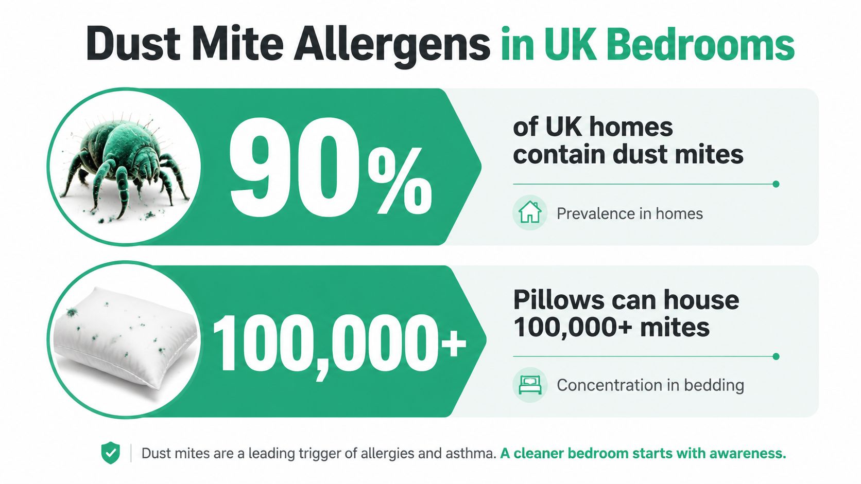 An infographic showing that 90 percent of UK homes have dust mites and pillows contain 100,000 mites.