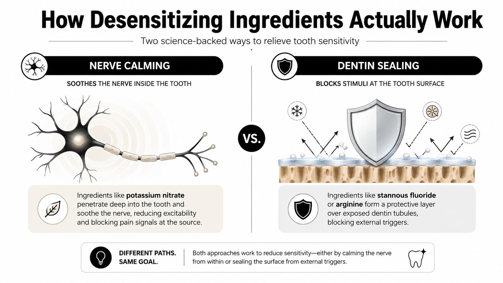 An infographic illustrating how desensitizing ingredients relieve tooth sensitivity through nerve calming and dentin sealing mechanisms.