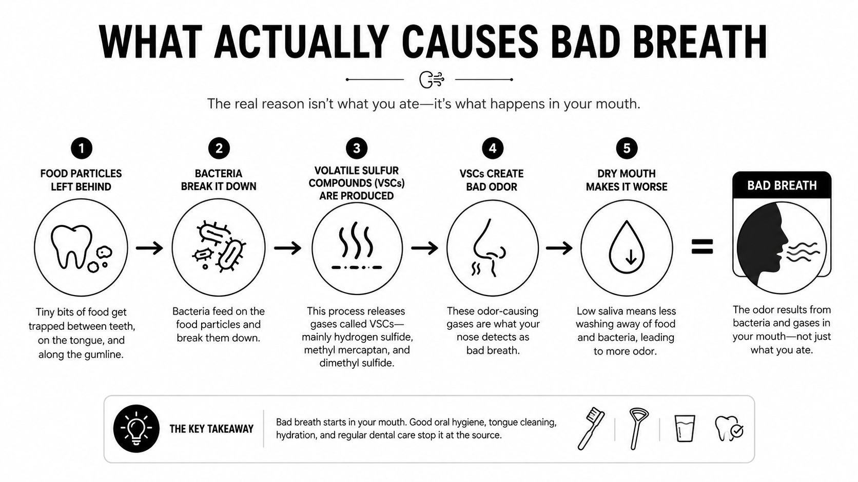 An infographic explaining the five steps of what causes bad breath, focusing on bacteria and oral hygiene.
