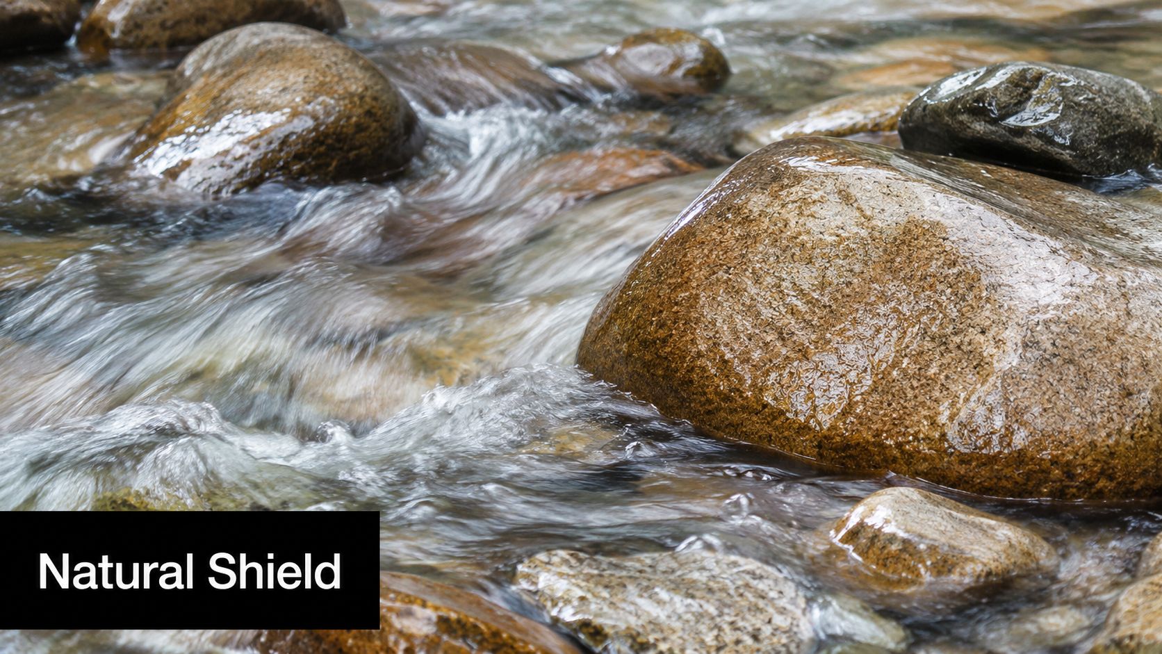 A close-up view of a clear mountain stream flowing around smooth, wet rocks in a riverbed.