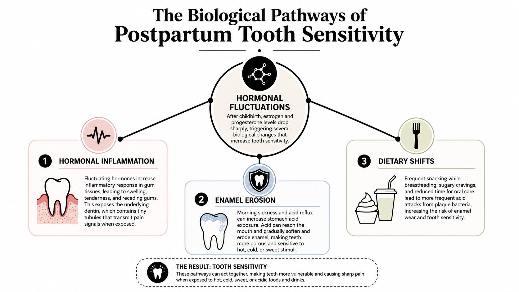 An infographic showing the three biological pathways causing tooth sensitivity after pregnancy including hormones, erosion, and diet.